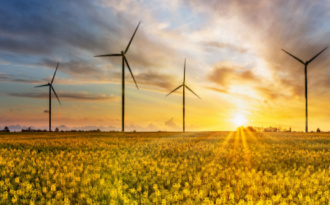 סגירת חברות