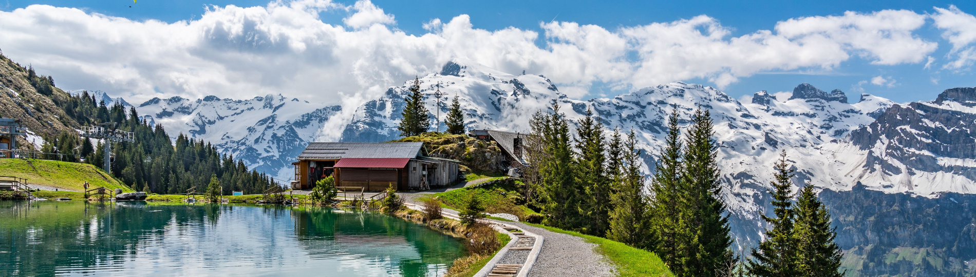הקמת נאמנות